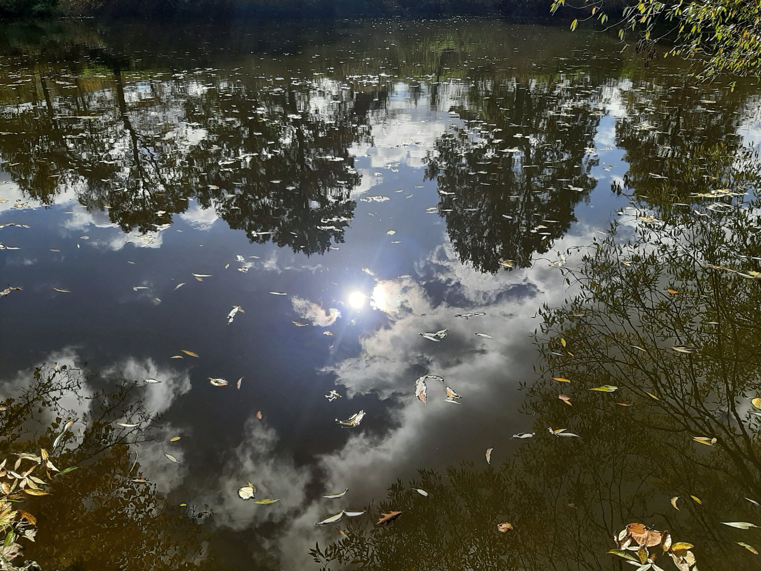 Program DUŠEVNÍ a mentální ZDRAVÍ III 2026 Týnec n. S.